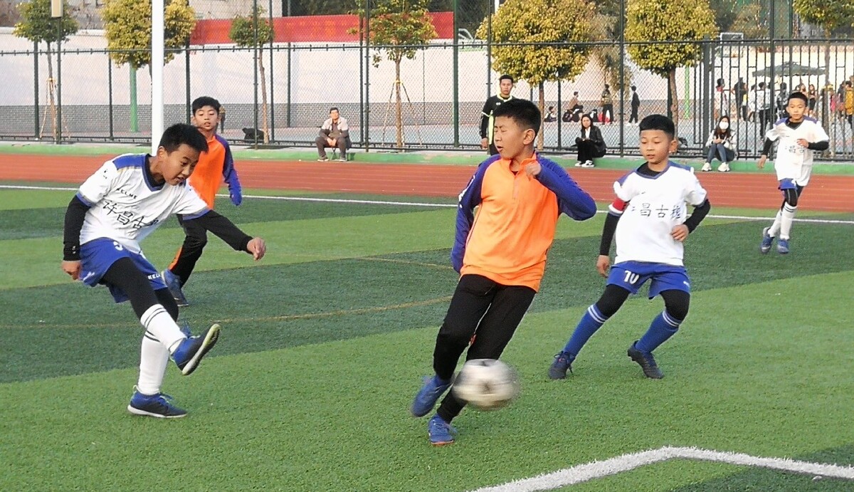 为城市的发 为城市的发