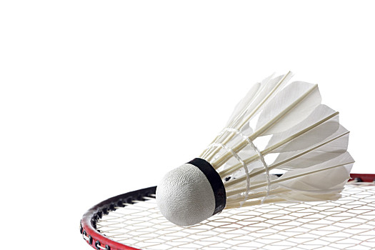 许只能迎来 许只能迎来