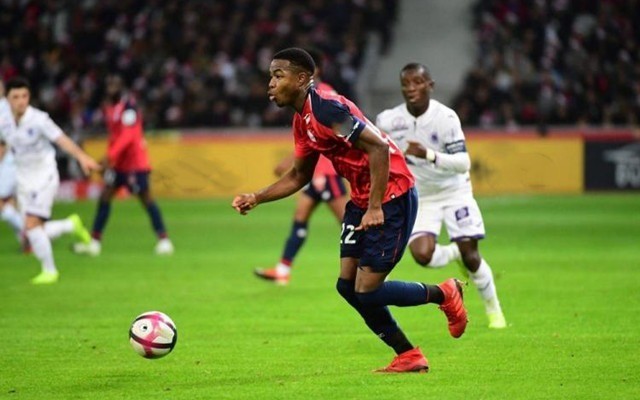 本期主题是 本期主题是